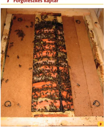 A forgófészkes rakodókaptár (9. kép) Kónya  Lajos öttevényi méhész találmánya. Születéséhez  az atka szaporodásbiológiájának megismerése  veze tett