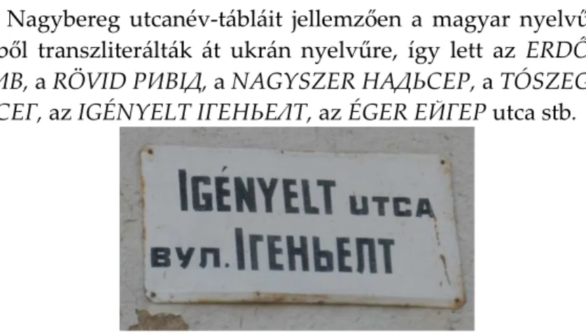 13. kép. Az Igényelt utca névtáblája Nagyberegen  A  fordítások  esetében  az  ukrán  utcanév  nem  minden  esetben azonos a magyar utcanévvel