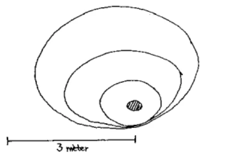 2. kép. A dombegyházi Temető-halom felszínén mért  erővonal-rajzolat vázlata