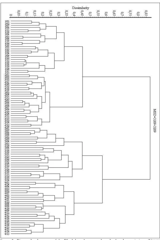 Figure 3.: Binary dendrogram of the Black hawthorn scrub and related associations (K EVEY et al