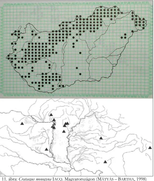 11. ábra: Crataegus monogyna J ACQ . Magyarországon (M ÁTYÁS  – B ARTHA , 1998)  és ▲ saját kárpát-medencei gyűjtések 