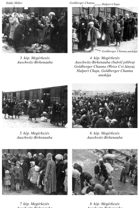 Auschwitz-Birkenauba 4. kép. Megérkezés 