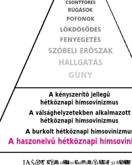 6. ábra: A haszonelvű hétköznapi hímsovinizmusA kényszerítõ jellegû 