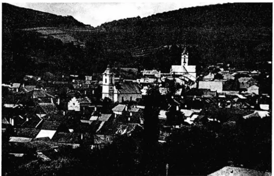 Abb. 2 Dobschau. Ansicht von Südosten  (links die r.-kath., rechts die ev. Kirche) 