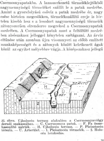 15. ábra. Üjholocén terrasz alakulása a Osermosnyavölgy dernői szakaszában. — C. Csermosnya patak