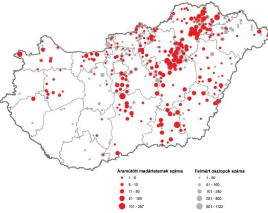 5. ábra: A 2004-2009 között végzett KFO felmérések során ellenôrzött vezetékszakaszok és elpusztult madarak területi  eloszlása Magyarországon (Ábra: Nagy Károly és Horváth Márton).