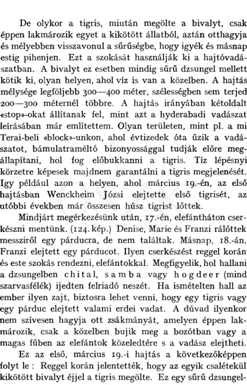 készni  mentünk.  (124. kép.)  Denise,  Marié és Franzi  rálőttek  messziről  egy  párducra,  de  nem  találtak