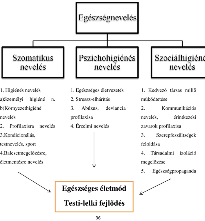 Az egészségnevelés hatásköreire rámutató ábrázololás: 1. ábra 