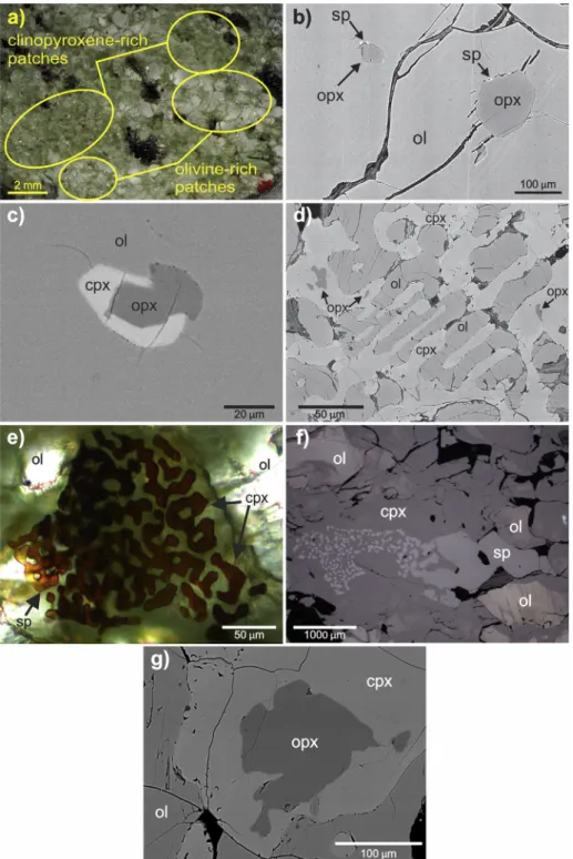Fig. 2. Photomicrographs of wehrlite xenoliths from the N ogr ad-G€ om€ or Volcanic Field showing different textural characteristics