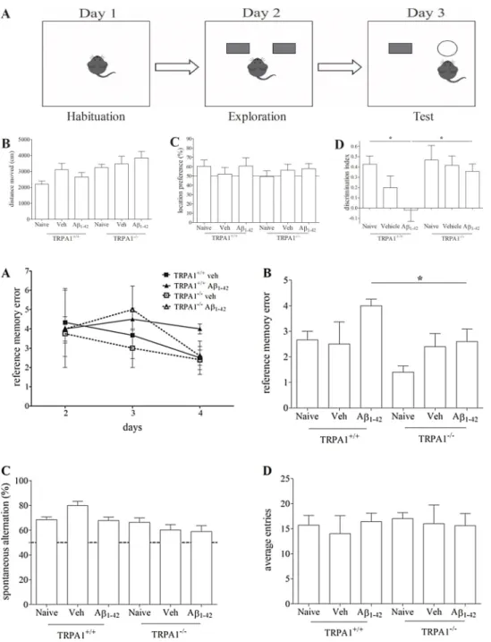 Fig. 5. Eﬀects of vehicle and Aβ 1-42 injec- injec-tion on the performance in the radial arm maze (RAM) and Y-maze task in TRPA1 +/+