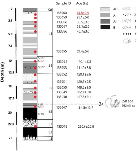 Fig. 2. Revised lithology of Nosak section, position of the luminescence samples (red circles) together with the pIRIR ages and the ESR age (for details see text)