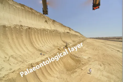 Fig. 3. The Nosak loess-palaeosol sequence with the position of the palaeontological layer