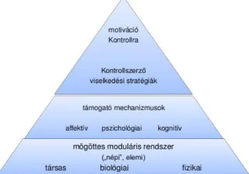    2. ábra. Geary - biológiailag elsődleges és másodlagos struktúrák. (forrás: Boross, 2014) 