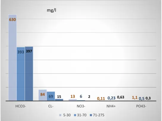 Figure 2. HCO 3 -  , Cl - , NO 3 - NH 4 +  and PO 4 3-  levels in samples in three depth categories,  expressed in average mg/l concentration