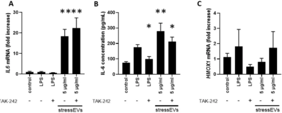 Figure 4. StressEVs activate interleukin signaling in AC16 cells. AC16 cells were stimulated for 6 h with stressEVs (5 µg/mL) or LPS (10 ng/mL) in the absence or presence of TAK-242 (2.5 µM)