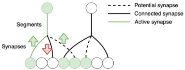 Fig. 6. Temporal Memory connections