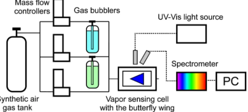 Figure 1. Schematic drawing of the measurement setup used in the vapor sensing experiment