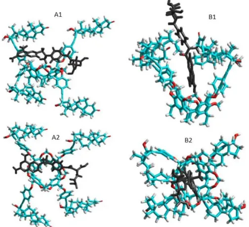 Figure 5. Side and top views of the equilibrium conformations of methotrexate–cavitand complexes  associated with the opened (A1 and A2) and closed (B1 and B2) conformations of the cavitand (blue,  red, white and black colors mean carbon, oxygen, hydrogen 