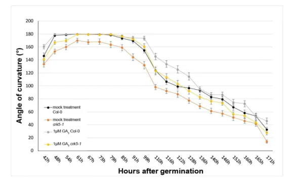 Figure  2.  Kinetics  of  exogenous  GA 3 -regulated  apical  hook  development  and  measurement  of  the  total GA content