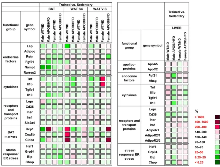 Figure 6. Heatmap of relative gene expression differences in adipose tissues and in the liver in response to exercise train- train-ing