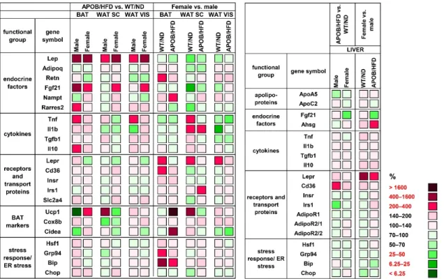 Figure 3. Heatmap of relative gene expression differences in adipose tissues and in the liver in response to hyperlipidemia