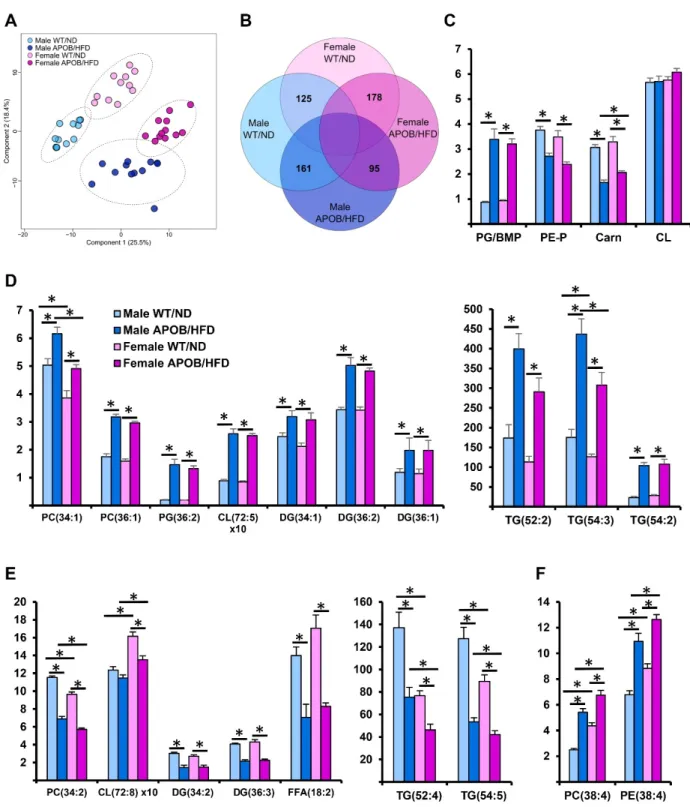 Figure 4. Differences in lipidomic patterns in response to hyperlipidemia and sex differences in the sedentary groups