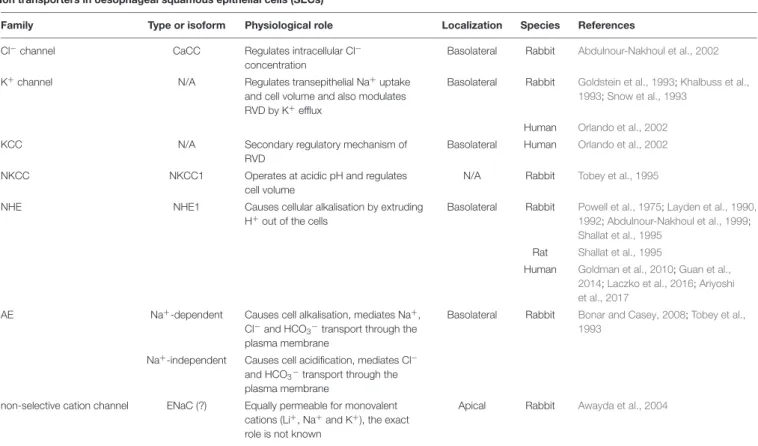 TABLE 1 | Expression of ion transporters in oesophageal squamous epithelial cells (SECs).