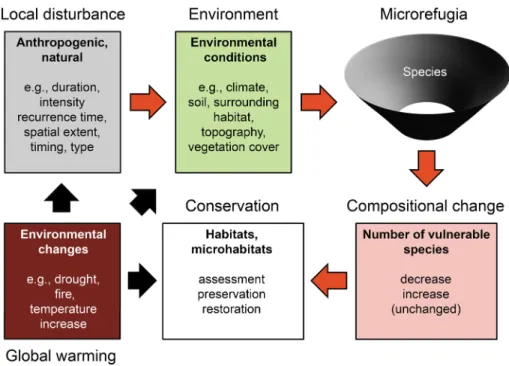 Fig. 5    Environmental conditions, local disturbances and environmental changes affect the species composi- composi-tion of current and potential microrefugia in multiple ways