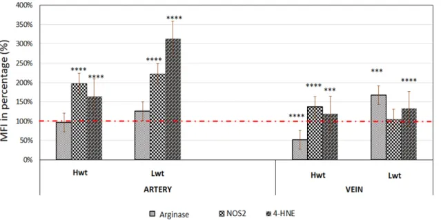 Figure 1. Quantification of the NOS3 expression and its activation level at pSer1177 residue