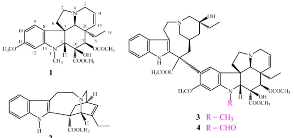 Figure 1. Vindoline (1), catharanthine (2), vinblastine (3), and vincristine (4) as representatives of the  well-known Vinca alkaloid family