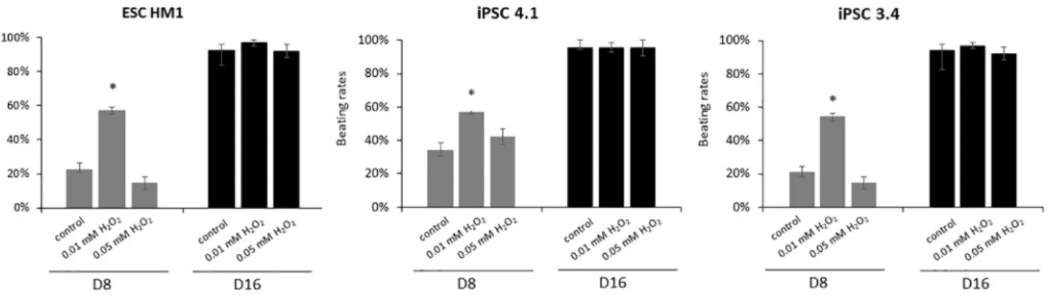Fig. 5. Expression of cardiac marker genes in EBs after oxidative stress.