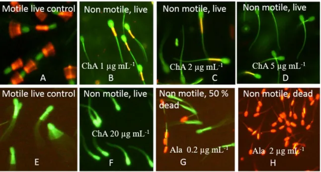 Figure 5. Fluorescence micrographs showing the test results for mitochondrial membrane potential  ΔΨ m  and SMID R  assay