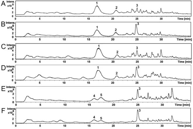 Figure 3. The HPLC-MS total ion chromatograms of the ethanol extracts of Ch. globosum strains  MTAV35 (A), HAS5 (B), RUK10 (C) and ABCD (D) and Ch