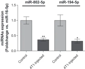 Fig. 4. Validation of the next-generation sequencing (NGS) results by quantitative real-time PCR (qPCR) for microRNA (miR)-802-5p and miR-194-5p