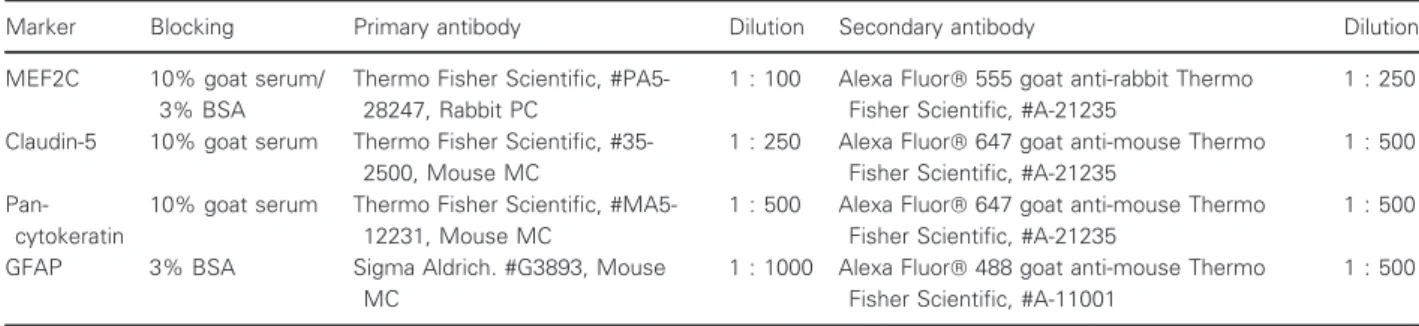 Table 1. Summary of the experimental conditions used for immunofluorescence analysis of brain tissue.