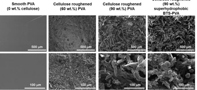 Figure 5. SEM images of the prepared smooth (0 wt.% cellulose), cellulose roughened (60  and  90  wt.%)  hydrophilic  PVA  and  cellulose roughened (90  wt.%)  superhydrophobic  BTS-PVA  films