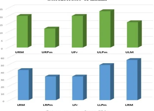 Figure 1. Localizations of ONJ by regions (Abbreviations: URM—upper right molar, URPm—upper  right premolar, Ufr—upper frontal, ULPm—upper left premolar, ULM—upper left molar, LRM—