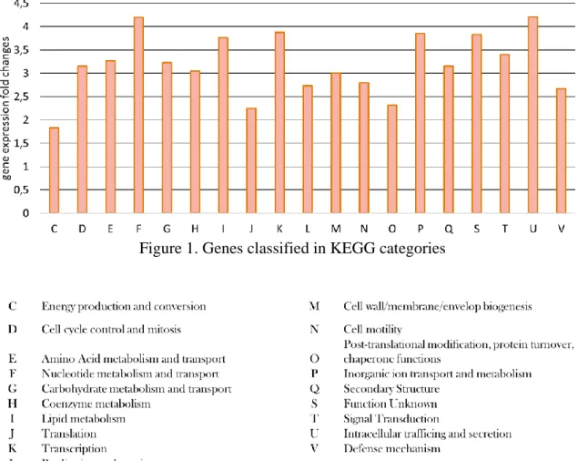 Figure 1. Genes classified in KEGG categories 
