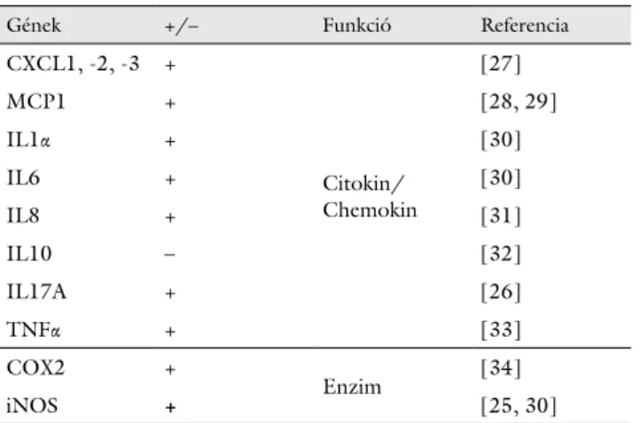 1. táblázat NFAT5 által szabályozott, gyulladással összefüggő gének