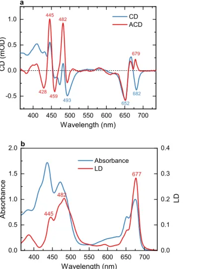 Figure 2. Optical spectra of reconstituted LHCII membranes in buffer and polyacrylamide gel