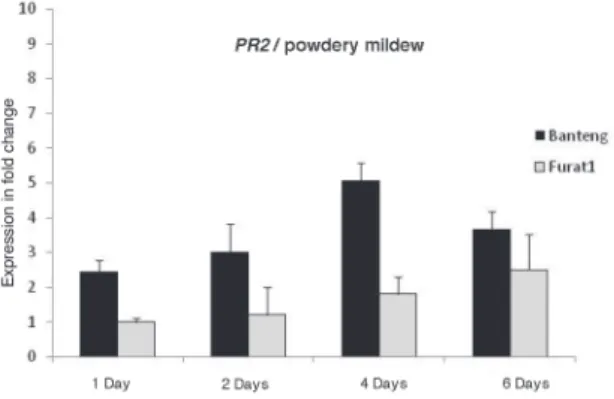 Fig. 4. Relative expression profiles of PR2 and PAL genes in the barley resistant (cv