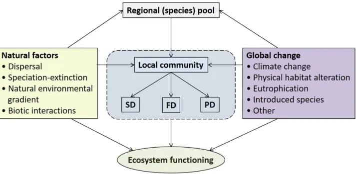Fig. 2. The relationships between a local  community and its environment in relation to  ecosystem 220 