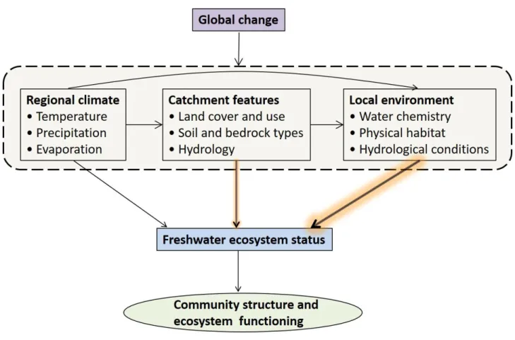 Fig.  1.  Conceptual  illustration  of  the  relationships  between  environmental  change  and  freshwater 95 