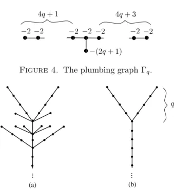 Figure 4. The plumbing graph Γ q .