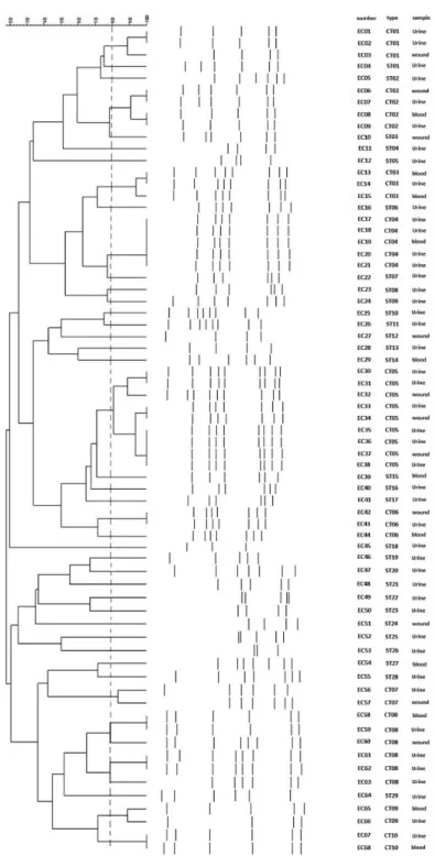 Figure 1. Dendrogram of 68 E. cloacae clinical strains based on ERIC-PCR pro ﬁ les