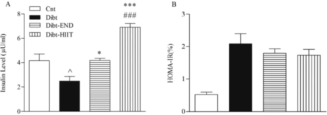 Fig. 2. Concentration of betatrophin in the experimental groups. Data are mean ± SEM;