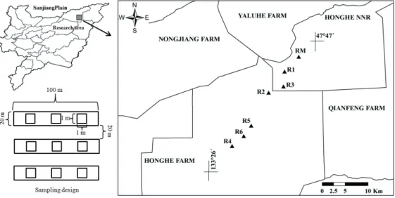 Figure 1. Location of research area and sampling design in this study. R1-6 and RM indicate 3-, 5-, 9-, 14-, 17-, 21-year restored and  reference meadows, respectively.