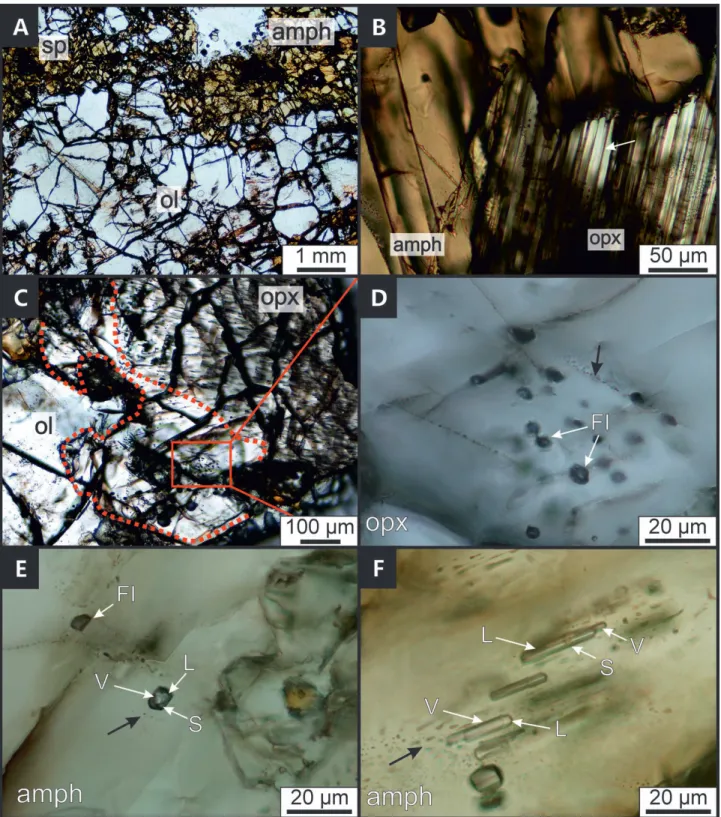 2. ábra.  Polarizációs mikroszkópos felvételek a tanulmányozott amfibolgazdag harzburgit és fluidumzárványainak főbb petrográfiai jellegzetességeinek bemu - -tatására
