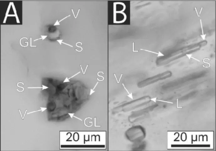 Fig.  1.  A)  Partially  crystallised  primary  melt  inclusions  in  amphibole. B) Pseudosecondary fluid inclusions in amphibole,  occurring along the cleavage planes of the host amphibole