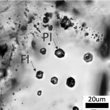 Fig. 1. An assemblage of coeval aqueous brine inclusions (FI)  and  polycrystalline  carbonate  melt  inclusions  (PI)  hosted  in  apatite from the Buena Vista deposit